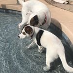 Profile Picture of Eric Lindsey (@ericchristopher08) on Instagram