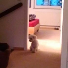 Profile Picture of Beatrice Klappach (@beatriceklappac) on Pinterest