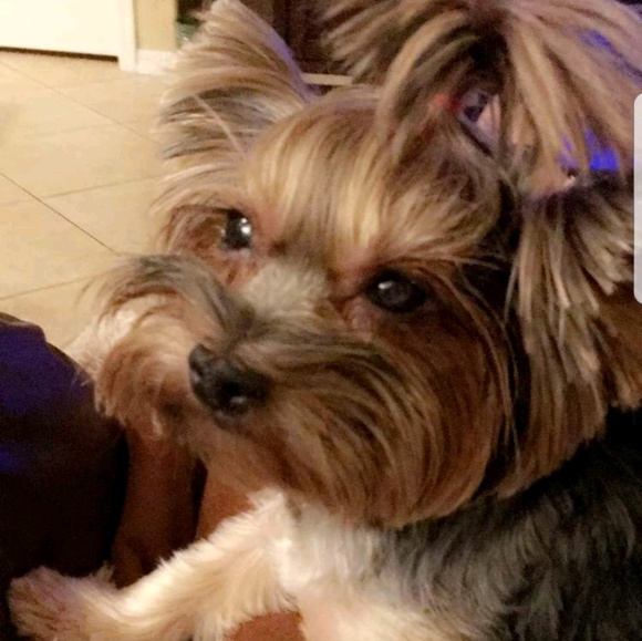 Profile Picture of Jeff Brevik (@jlbrevik) on Poshmark