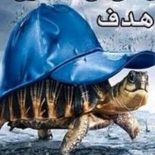 Profile Picture of فّهْآإو ّة شرآإريي« (@carlymullins212) on Twitter