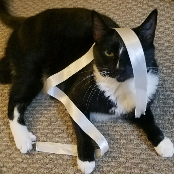 Tomoko Ishikawa - Poshmark Profile Picture of Tomoko Ishikawa (@tithereal) on Poshmark