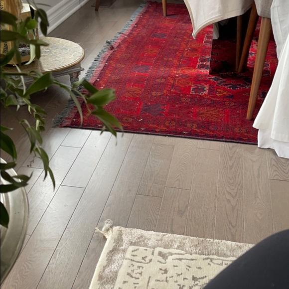 Nancy Radwan - Poshmark Profile Picture of Nancy Radwan (@nancerad) on Poshmark