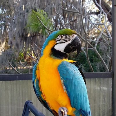 Profile Picture of Alan Bragg (@AlanBragg6) on Twitter