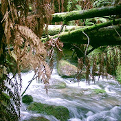 Profile Picture of Barry Brooks (@barrybrooks2615) on Youtube