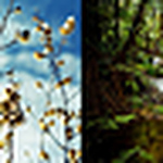 Profile Picture of leah meets brandon (@leah meets brandon) on Flickr