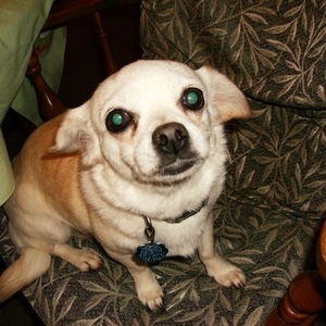 Profile Picture of Michael Hicken (@ninja_master_mikey) on Myspace