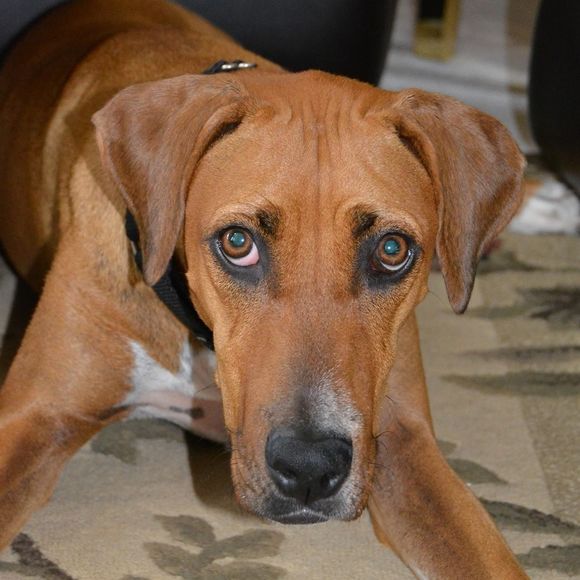 Renee Romano westermann - Poshmark Profile Picture of Renee Romano westermann (@rwester17) on Poshmark