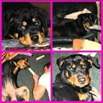 Profile Picture of Jonathan Byerly (@jonathan.byerly.73) on Instagram