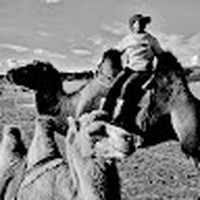 Hung Hsin Liang - Quora Profile Picture of Hung Hsin Liang (@hung-hsin-liang-1) on Quora