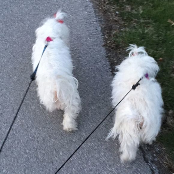 Taylor Moreland - Poshmark Profile Picture of Taylor Moreland (@tmmoreland) on Poshmark