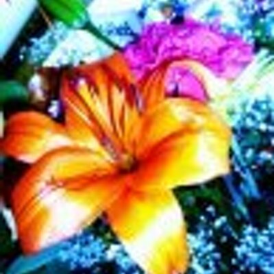 Profile Picture of Beverly Heck (@amber689) on Twitter