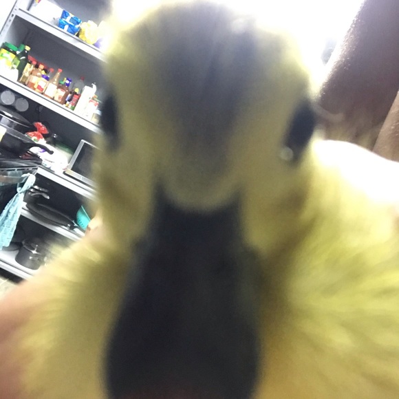 Profile Picture of Christean Mendieta (@mendieta_33) on Poshmark