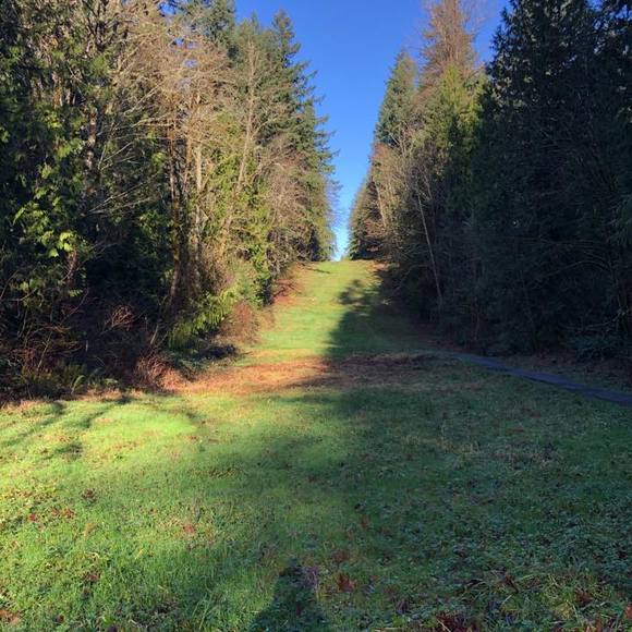 Profile Picture of Kaye Brundidge (@chame1407) on Poshmark