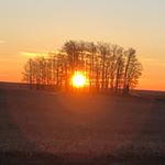 Profile Picture of Tim Bloom (@teamropin68) on Instagram