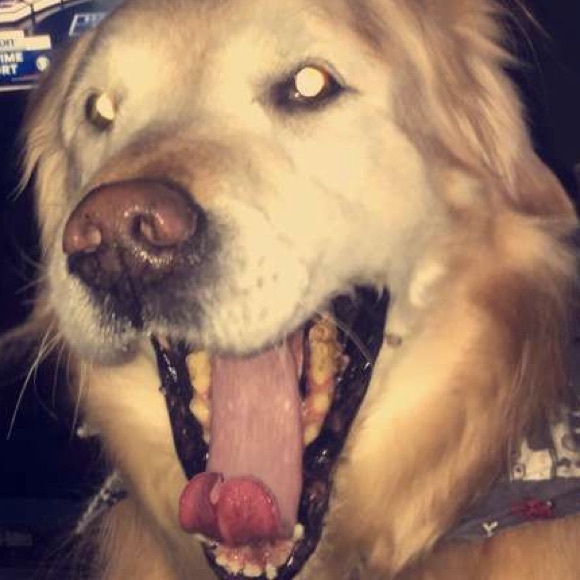 Profile Picture of Brian Harrington (@bharr456) on Poshmark