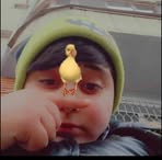 Profile Picture of David Pelica (@David-Pelica) on Facebook