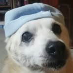 Isabella Bacci - Facebook Profile Picture of Isabella Bacci (@isabella.bacci.125) on Facebook