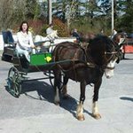 Profile Picture of Clare Starrett (@clarestarrett) on Instagram