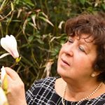 Profile Picture of Chris Van de Heyning (@chris_vandeheyning) on Instagram