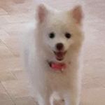 Profile Picture of Bella_Ayala (@_bella_ayala_) on Instagram