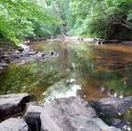 Profile Picture of Marty Wagner (@marty.wagner.391) on Facebook