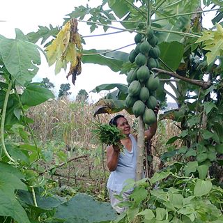 Profile Picture of Emogene Llanera Carcusia (@emogene.carcusia) on Facebook