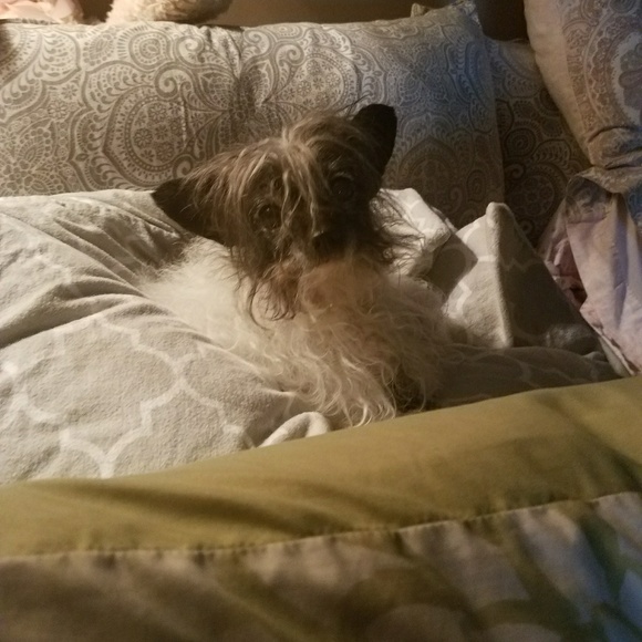 Profile Picture of Elisha Delorto (@kiya1581) on Poshmark