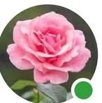 Profile Picture of Shaveer Shiekh (@shaveershiekh) on Facebook