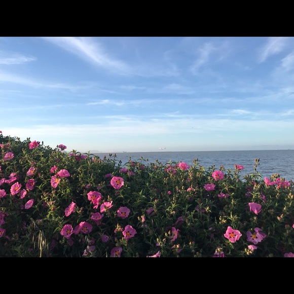 Profile Picture of Khin Khaing (@sunnymoe16) on Poshmark