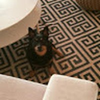 Profile Picture of James Lions (@james-lions-1) on Quora