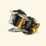 Profile Picture of Adam Shephard (@angry.pigeon) on Instagram