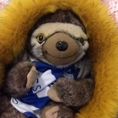 Profile Picture of Fizz Dyndor (@felicityocqpr) on Twitter