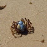 Profile Picture of Steven Myatt (@scwm25) on Instagram