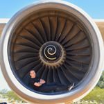 Profile Picture of Alex Currie (@_alexcurrie) on Instagram