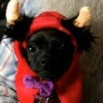 Profile Picture of Peggy Helmick-Richardson (@twiceteller) on Instagram