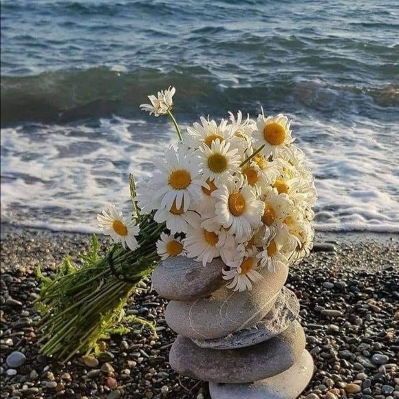 Profile Picture of Beverly Luetjens (@bluetjens09) on Poshmark