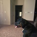 Profile Picture of David Aydelotte (@davidaydelotte15) on Instagram