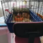 Dunlop Ivan - Facebook Profile Picture of Dunlop Ivan (@dunlop.ivan.5) on Facebook