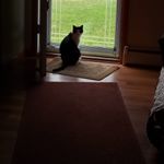 Profile Picture of Kathy Melcher (@cagney0224) on Instagram