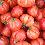 Profile Picture of Erik Hansen (@erikorama) on Flickr