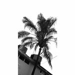 Profile Picture of Juan Jacob Sotelo (@juanjacobsotelo) on Instagram