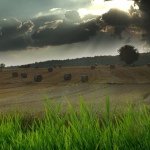 Wesley Goodman - Instagram Profile Picture of Wesley Goodman (@jdpuller) on Instagram