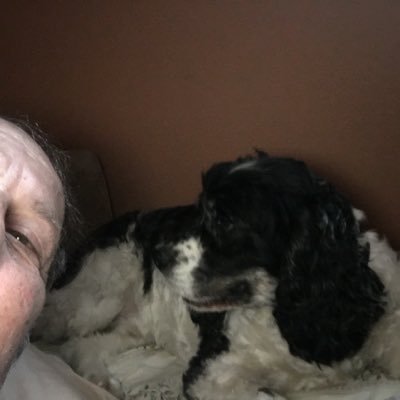 Profile Picture of Larry Stone (@rlstone111) on Twitter