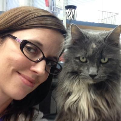 Profile Picture of Sandra Duncan (@FumblingAlong) on Twitter