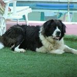 Profile Picture of Jose Antonio Pernas (@pernasfotx) on Instagram