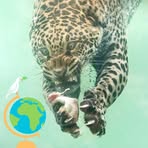 Profile Picture of David Runner (@David-Runner) on Facebook