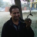 Profile Picture of Paul Toor (@toor_paul) on Instagram