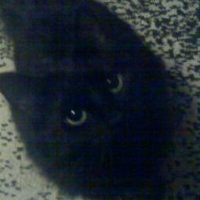 Profile Picture of Jim Kender (@JimKender) on Twitter