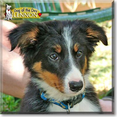 Profile Picture of Roberta Beatty (@bertiedew) on Twitter