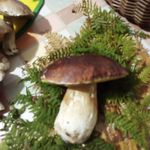 Profile Picture of Daniele carloni (@carloni.daniele) on Instagram